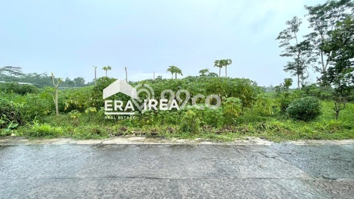 Tanah untuk Dijual di Teras Boyolali Luas 1000m2 Tanah untuk Dijual di Teras Boyolali Luas 1000m2