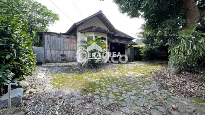 Rumah Modern Minimalis 3 Kamar Bisa Langsung Pindah di Banyudono Rumah Modern Minimalis 3 Kamar Bisa Langsung Pindah di Banyudono