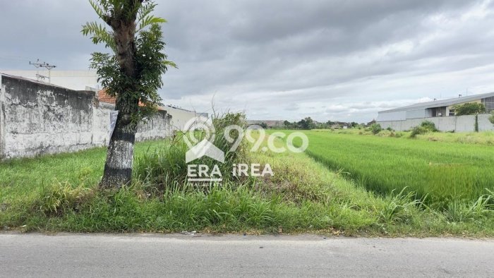 Tanah Dijual Lokasi Gatak, Sukoharjo Luas 1525m2 Legalitas Aman Tanah Dijual Lokasi Gatak, Sukoharjo Luas 1525m2 Legalitas Aman