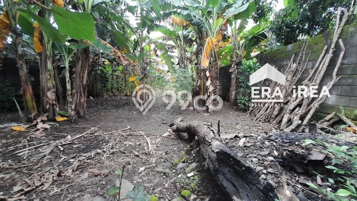 Kavling Tanah Dijual di Laweyan, Solo, Luas 887m2 Area Strategis Kavling Tanah Dijual di Laweyan, Solo, Luas 887m2 Area Strategis
