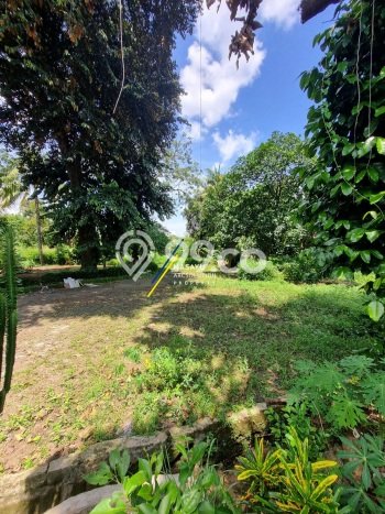 Tanah Lokasi Strategis Kawasan , Luas 5386m2m², Kawasan Asri, Dekat Jakarta Selatan, Jakarta Selatan Tanah Lokasi Strategis Kawasan , Luas 5386m2m², Kawasan Asri, Dekat Jakarta Selatan, Jakarta Selatan