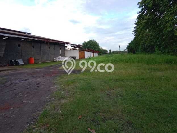 Jarang Ada! Tanah di Neglasari Punya Luas 12165m2 - Jarang Ada! Tanah di Neglasari Punya Luas 12165m2 -