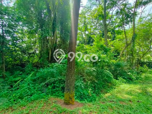 Tanah Dijual di Bogor Seluas 1663m2 Strategis Tanah Dijual di Bogor Seluas 1663m2 Strategis