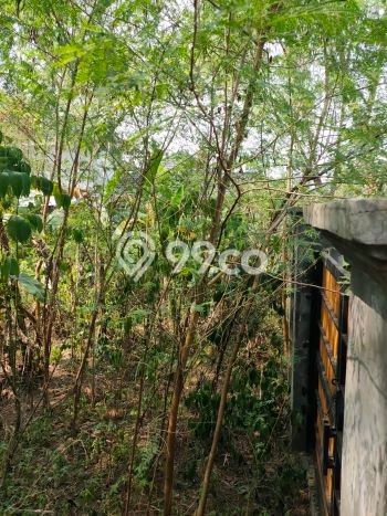 Tanah Dijual di Bogor Seluas 585m2 Strategis Tanah Dijual di Bogor Seluas 585m2 Strategis