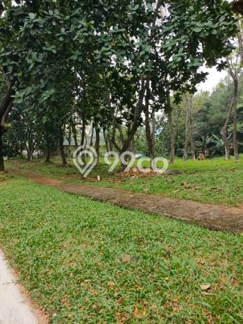 Tanah Investasi Dijual di Bogor Punya Luas 2m2 Tanah Investasi Dijual di Bogor Punya Luas 2m2