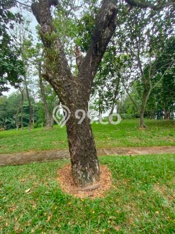 Tanah Investasi Dijual di Bogor Punya Luas 2m2 Tanah Investasi Dijual di Bogor Punya Luas 2m2