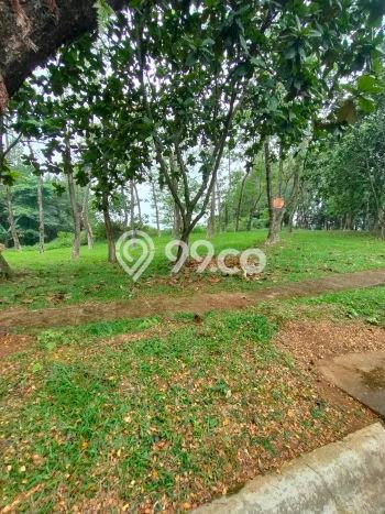 Tanah Investasi Dijual di Bogor Punya Luas 2m2 Tanah Investasi Dijual di Bogor Punya Luas 2m2