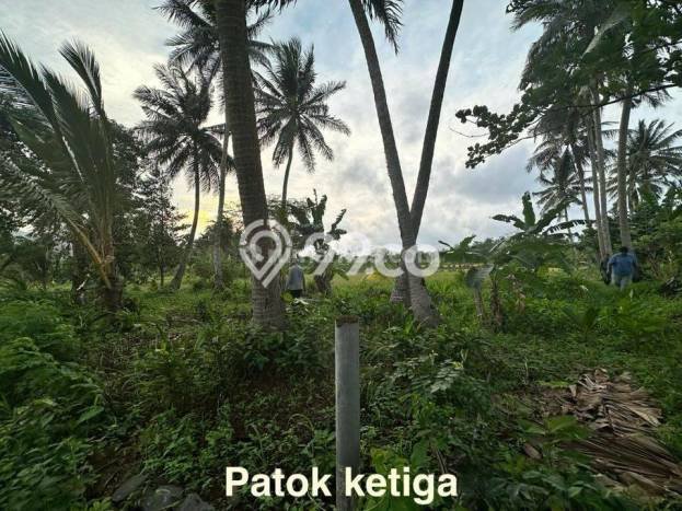 Tanah Kawasan Carita, Luas 43800m², Area Strategis, Dekat Carita, Pandeglang, Pandeglang Tanah Kawasan Carita, Luas 43800m², Area Strategis, Dekat Carita, Pandeglang, Pandeglang