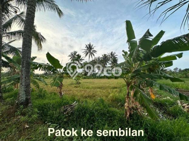 Tanah Kawasan Carita, Luas 43800m², Area Strategis, Dekat Carita, Pandeglang, Pandeglang Tanah Kawasan Carita, Luas 43800m², Area Strategis, Dekat Carita, Pandeglang, Pandeglang