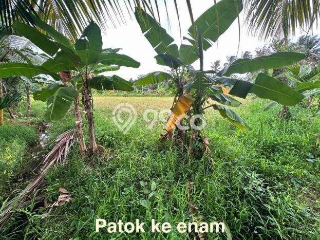 Tanah Dijual Lokasi Carita, Pandeglang Luas 43800m2 Legalitas Aman Tanah Dijual Lokasi Carita, Pandeglang Luas 43800m2 Legalitas Aman