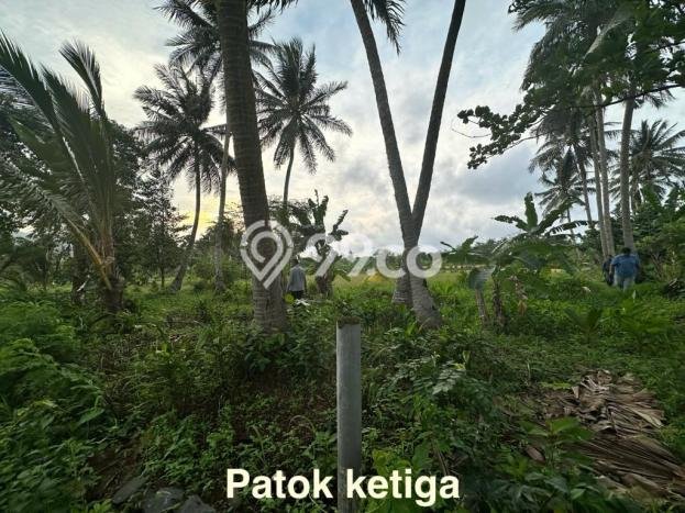 Tanah Dijual Lokasi Carita, Pandeglang Luas 43800m2 Legalitas Aman Tanah Dijual Lokasi Carita, Pandeglang Luas 43800m2 Legalitas Aman