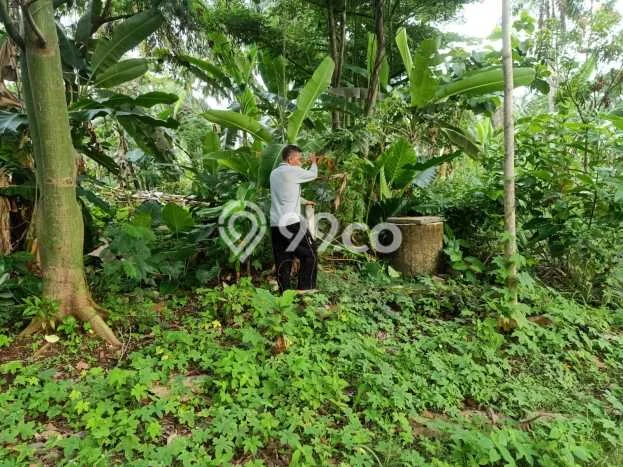 Tanah Dijual Lokasi Carita, Pandeglang Luas 43800m2 Legalitas Aman Tanah Dijual Lokasi Carita, Pandeglang Luas 43800m2 Legalitas Aman