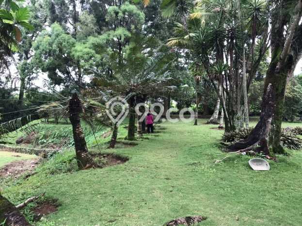 Tanah Siap Bangun Dijual di Bogor Punya Luas 21247m2 Tanah Siap Bangun Dijual di Bogor Punya Luas 21247m2
