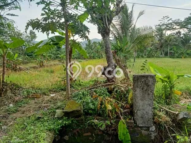 Tanah Dijual Lokasi Carita, Pandeglang Luas 43800m2 Legalitas Aman Tanah Dijual Lokasi Carita, Pandeglang Luas 43800m2 Legalitas Aman