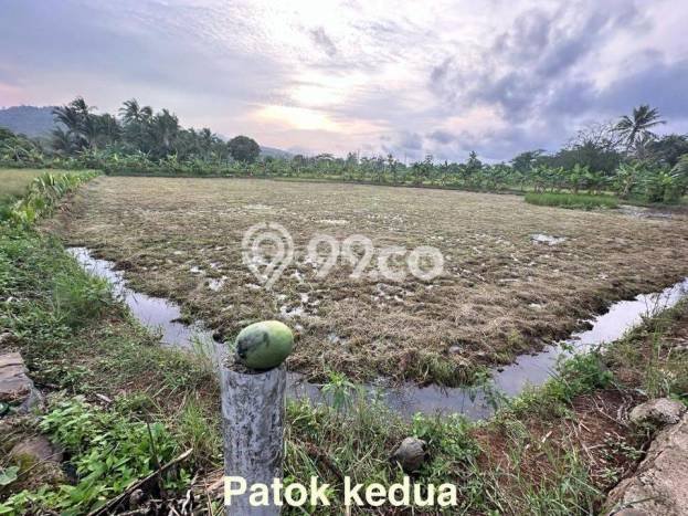 Tanah Dijual Lokasi Carita, Pandeglang Luas 43800m2 Legalitas Aman Tanah Dijual Lokasi Carita, Pandeglang Luas 43800m2 Legalitas Aman