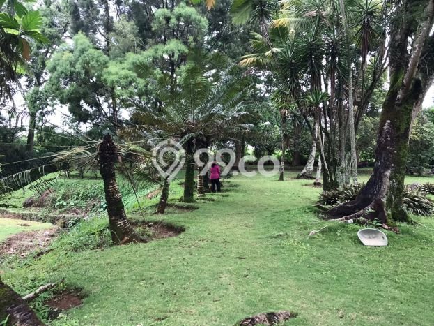 Tanah Kavling Dijual di Bogor dengan Spesifikasi 21427m2 Tanah Kavling Dijual di Bogor dengan Spesifikasi 21427m2