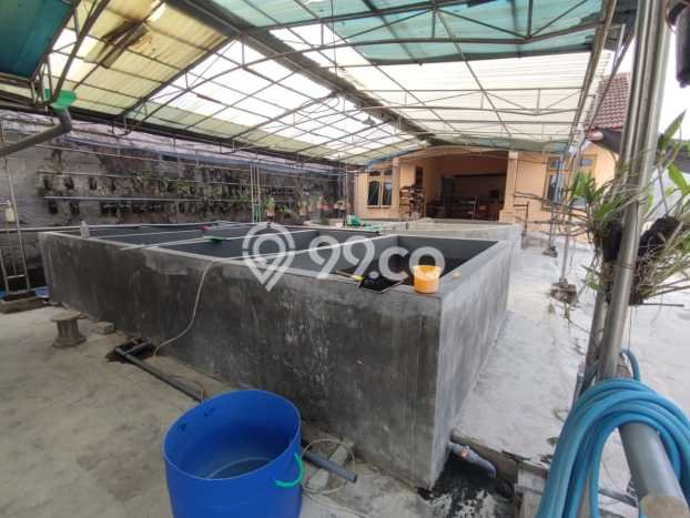Siap Huni Rumah Mewah 4 Kamar di Kedungwaru Dekat ke Mana Saja Siap Huni Rumah Mewah 4 Kamar di Kedungwaru Dekat ke Mana Saja