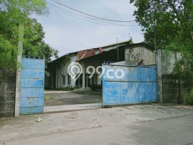 Unit Pabrik Disewa Lokasi Kota Kudus, Kabupaten Kudus Spesifikasi Luas Bangunan 9000m2 Unit Pabrik Disewa Lokasi Kota Kudus, Kabupaten Kudus Spesifikasi Luas Bangunan 9000m2