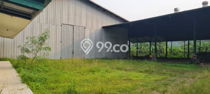 Gudang Paling Dicari LB 4788m2 Dijual di Ciseeng Gudang Paling Dicari LB 4788m2 Dijual di Ciseeng