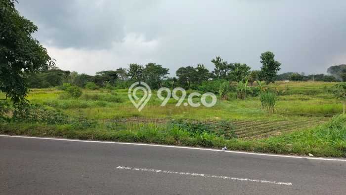 Untuk Dijual Tanah di Polanharjo Klaten Luas 2160m2 SHM Untuk Dijual Tanah di Polanharjo Klaten Luas 2160m2 SHM