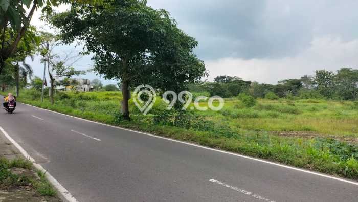 Untuk Dijual Tanah di Polanharjo Klaten Luas 2160m2 SHM Untuk Dijual Tanah di Polanharjo Klaten Luas 2160m2 SHM