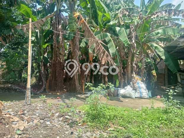 Lahan Kosong Dijual di Grogol, Solo, Luas 239m2 Area Strategis Lahan Kosong Dijual di Grogol, Solo, Luas 239m2 Area Strategis