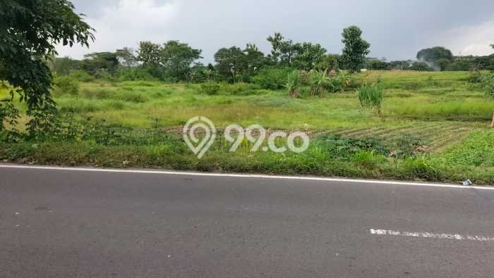 Tanah Strategis Dijual di Polanharjo Klaten 2160m2 Tanah Strategis Dijual di Polanharjo Klaten 2160m2