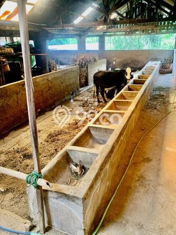 Dijual! Komersial di Gladagsari Boyolali LT 766m2 / LB 500m2 Kawasan Bisnis Dijual! Komersial di Gladagsari Boyolali LT 766m2 / LB 500m2 Kawasan Bisnis