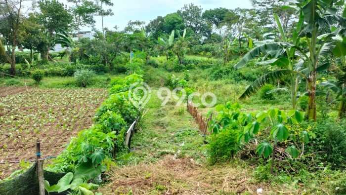 For Sale Rumah Mewah Exclusive di Mojosongo, Boyolali For Sale Rumah Mewah Exclusive di Mojosongo, Boyolali