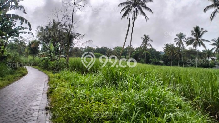Kavling Tanah Dijual di Singosari Malang Spesifikasi 8000m2 Kavling Tanah Dijual di Singosari Malang Spesifikasi 8000m2
