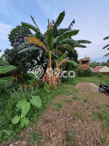 Tanah Siap Bangun Dijual di Depok Punya Luas 157m2 Tanah Siap Bangun Dijual di Depok Punya Luas 157m2