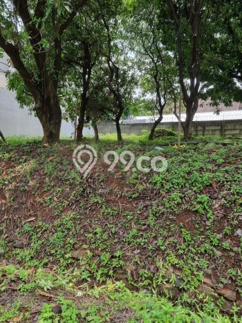 HARGA TERBAIK! Tanah di , Luas 388m2m², Dekat Jalan Raya, Area Berkembang HARGA TERBAIK! Tanah di , Luas 388m2m², Dekat Jalan Raya, Area Berkembang