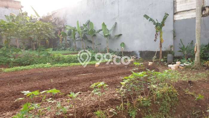 Dijual Tanah Lokasi Sektor 9-Bintaro, Tangerang Selatan Seluas 555m2 Dijual Tanah Lokasi Sektor 9-Bintaro, Tangerang Selatan Seluas 555m2