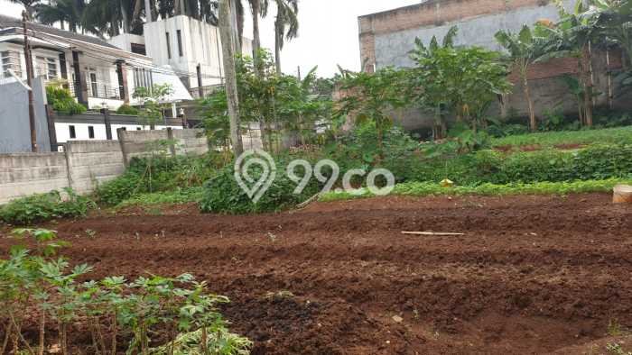 Dijual Tanah Lokasi Sektor 9-Bintaro, Tangerang Selatan Seluas 555m2 Dijual Tanah Lokasi Sektor 9-Bintaro, Tangerang Selatan Seluas 555m2