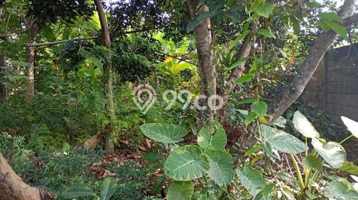 Tanah Kosong Dijual di Tangerang Selatan dengan Area 450m2 Tanah Kosong Dijual di Tangerang Selatan dengan Area 450m2