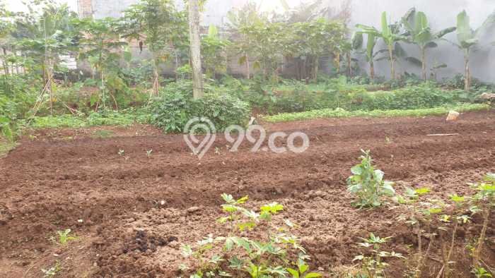 Dijual Tanah Lokasi Sektor 9-Bintaro, Tangerang Selatan Seluas 555m2 Dijual Tanah Lokasi Sektor 9-Bintaro, Tangerang Selatan Seluas 555m2