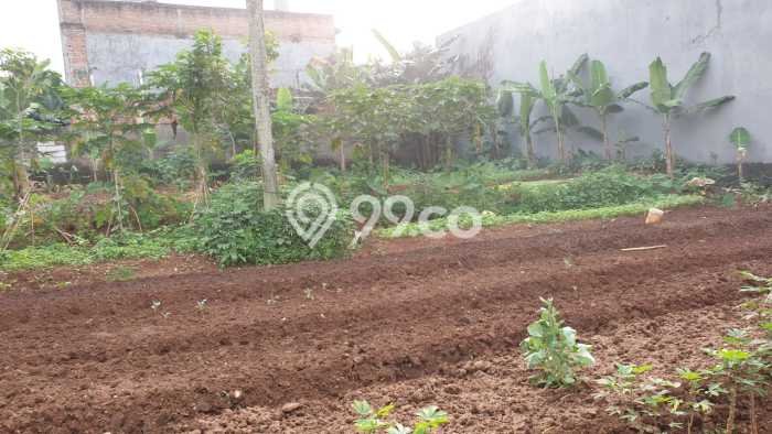 Dijual Tanah Lokasi Sektor 9-Bintaro, Tangerang Selatan Seluas 555m2 Dijual Tanah Lokasi Sektor 9-Bintaro, Tangerang Selatan Seluas 555m2