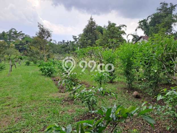 Jual Rumah Mewah Elegan Dengan View Cantik di Bantul, Yogyakarta Jual Rumah Mewah Elegan Dengan View Cantik di Bantul, Yogyakarta