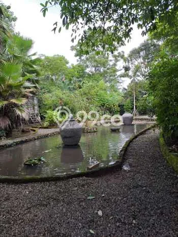 Tanah Kavling Dijual di Bantul, Yogyakarta dengan Luas Tanah 12000m2 Tanah Kavling Dijual di Bantul, Yogyakarta dengan Luas Tanah 12000m2