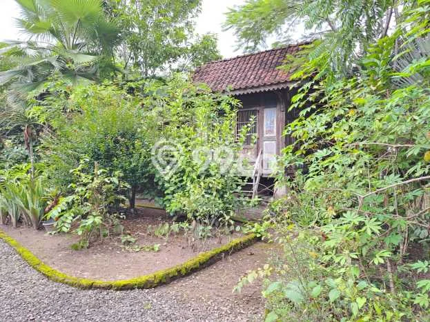 Tanah Kavling Dijual di Bantul, Yogyakarta dengan Luas Tanah 12000m2 Tanah Kavling Dijual di Bantul, Yogyakarta dengan Luas Tanah 12000m2