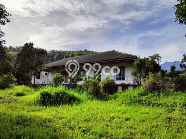 Dijual Tanah di Pacet Mojokerto Luas 16000m2 SHM Dijual Tanah di Pacet Mojokerto Luas 16000m2 SHM