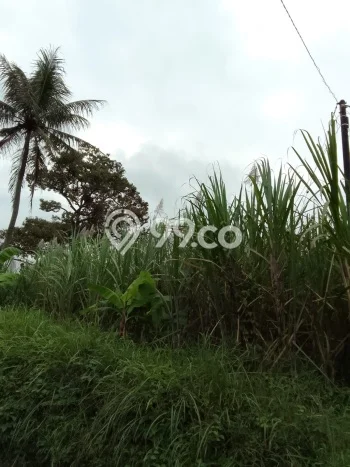Kavling Tanah Dijual di Dampit Malang Spesifikasi 580m2 Kavling Tanah Dijual di Dampit Malang Spesifikasi 580m2