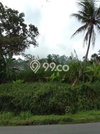 Kavling Tanah Dijual di Dampit Malang Spesifikasi 580m2 Kavling Tanah Dijual di Dampit Malang Spesifikasi 580m2