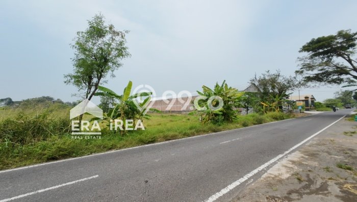 Tanah Kosong Dijual di Klaten dengan Area 2325m2 Tanah Kosong Dijual di Klaten dengan Area 2325m2