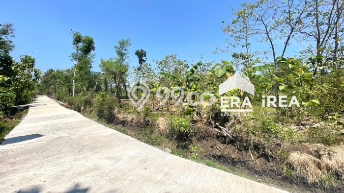 For Sale Tanah di Sambi, Luas 2489m², Area Berkembang For Sale Tanah di Sambi, Luas 2489m², Area Berkembang