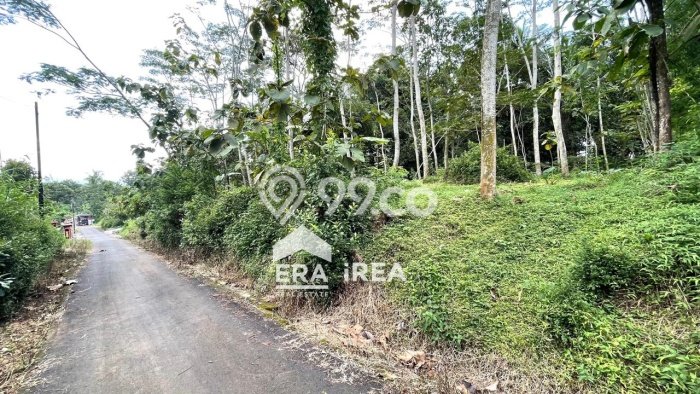Lahan Kosong Dijual di Boyolali dengan Area 1400m2 Lahan Kosong Dijual di Boyolali dengan Area 1400m2