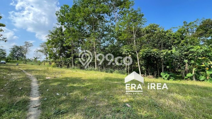 Tanah Area Berkembang Kawasan Boyolali Kota, Luas 2778m2m², Dekat ke Pusat Kota, Lingkungan Asri Tanah Area Berkembang Kawasan Boyolali Kota, Luas 2778m2m², Dekat ke Pusat Kota, Lingkungan Asri