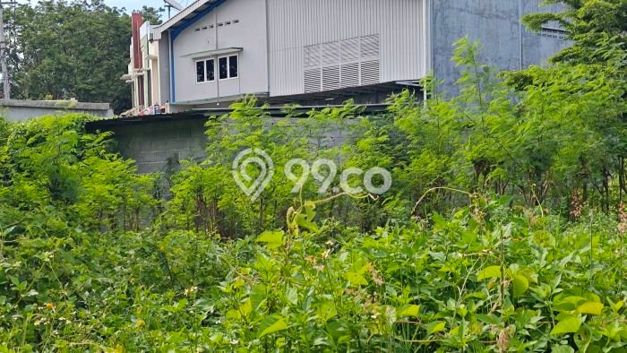 Tanah Investasi Dijual di Semarang Punya Luas 256m2 Tanah Investasi Dijual di Semarang Punya Luas 256m2