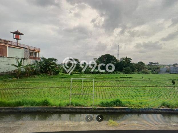 Kavling Tanah untuk Disewa di Munggu Lahan Luas 5000m2 Kavling Tanah untuk Disewa di Munggu Lahan Luas 5000m2