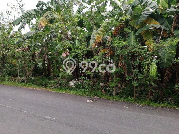 SEWA LAHAN! Tanah Kawasan Legian, Luas 623m², Area Komersial SEWA LAHAN! Tanah Kawasan Legian, Luas 623m², Area Komersial